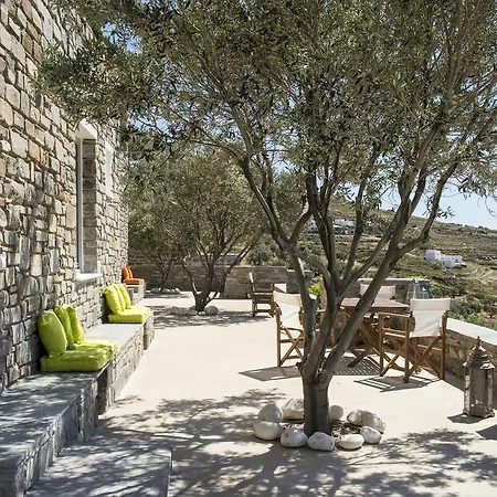 Olive Tree House In Parikia Holiday home