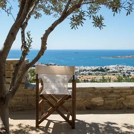 Olive Tree House In Parikia Holiday home